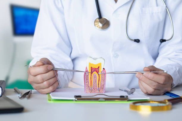 Professional Emergency Dental Service in KS